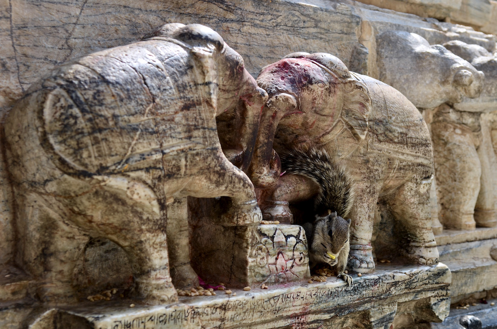 squirrel hiding below relief of elephants