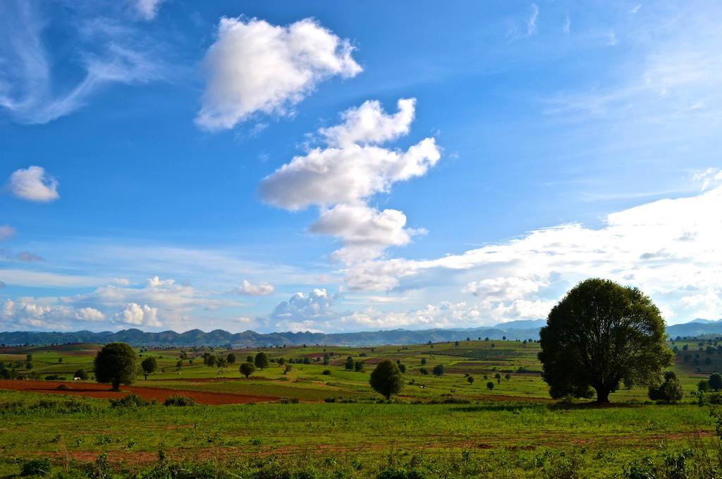 myanmar-fields