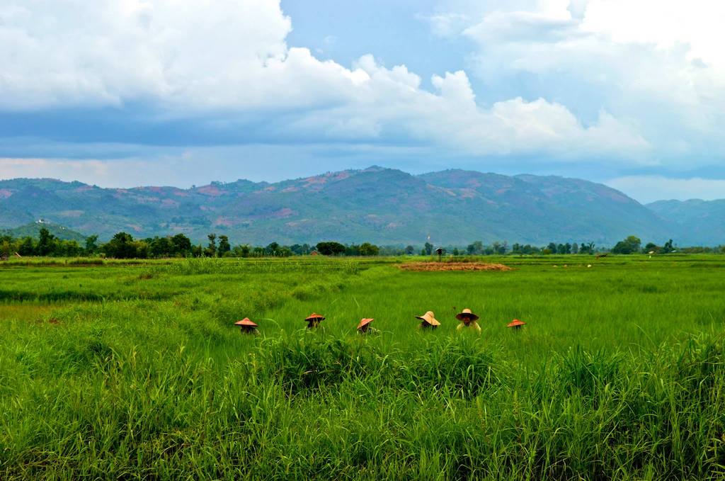 myanmar-real-work